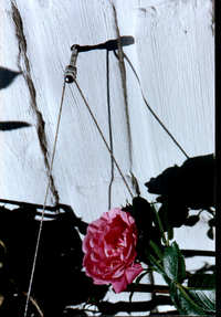 M6 dubbelschroef 90 mm van RVS extra onderdeel voor de klimplantenhulp