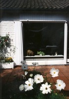 Zeildoek van de rol: Uni witte polyesterstof, rolbreedte 146 cm #11