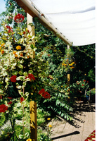 Bild #15 zu Toepassingsgebieden