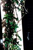 Bild #6 zu Toepassingsgebieden