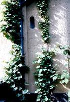 Bild #10 zu Toepassingsgebieden