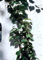 Bild #11 zu Toepassingsgebieden