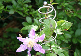 Rank- und Zierst�be aus Edelstahl