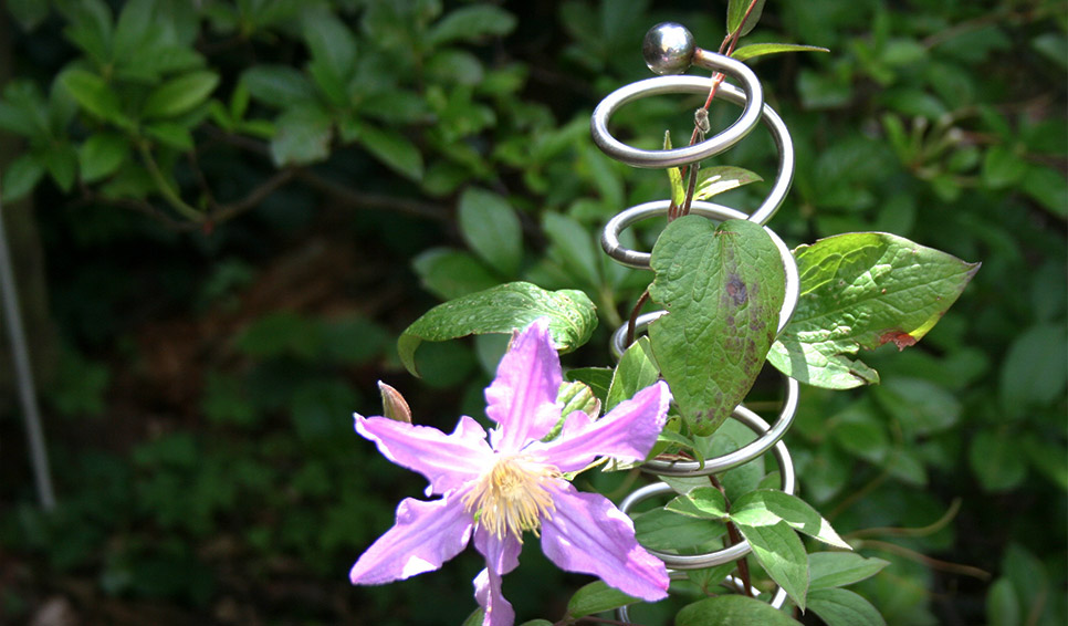 Kletterhilfe Rankst�be 